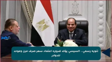 تنويه رسمي.. السيسي يؤكد ضرورة اعتماد سعر صرف مرن وموحد للدولار
